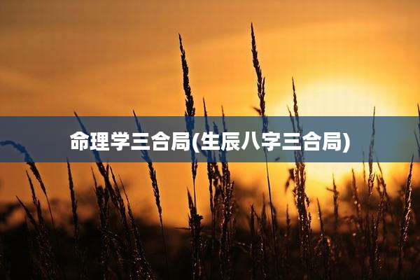 命理学三合局(生辰八字三合局)