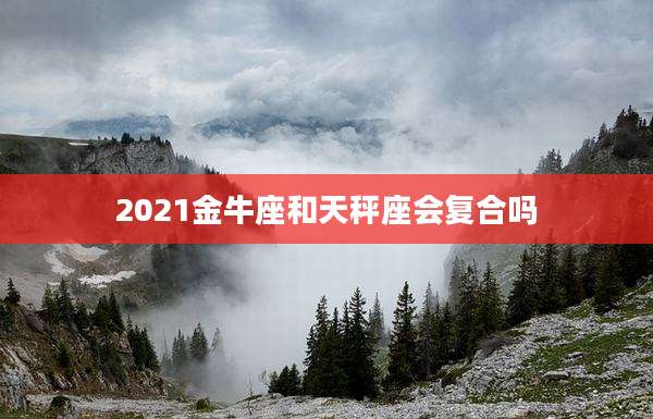 2021金牛座和天秤座会复合吗