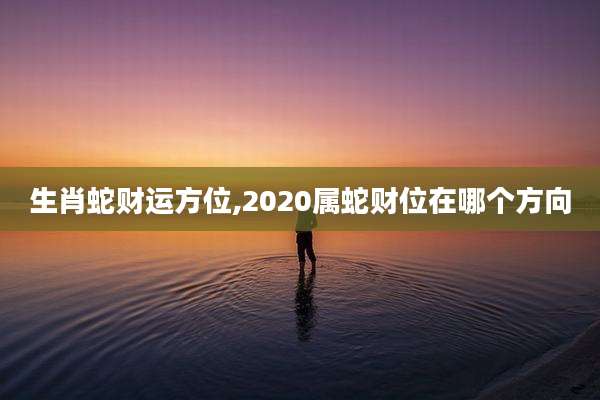生肖蛇财运方位,2020属蛇财位在哪个方向