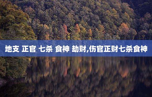 地支 正官 七杀 食神 劫财,伤官正财七杀食神