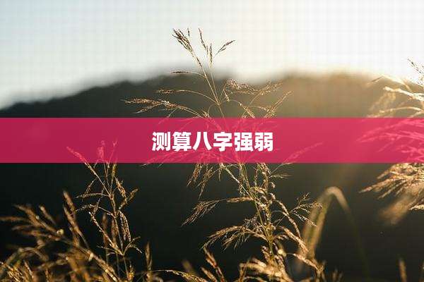 测算八字强弱