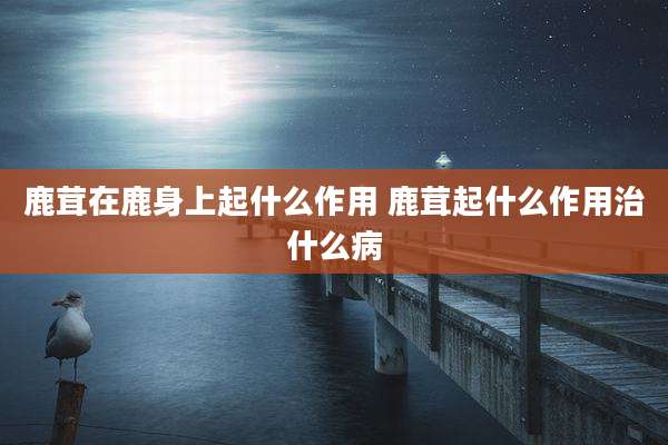 鹿茸在鹿身上起什么作用 鹿茸起什么作用治什么病