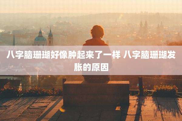 八字脑珊瑚好像肿起来了一样 八字脑珊瑚发胀的原因