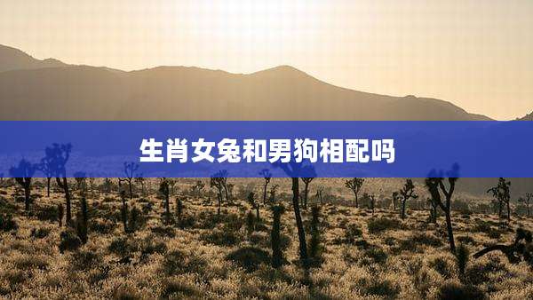 生肖女兔和男狗相配吗