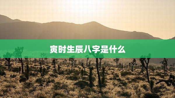 寅时生辰八字是什么