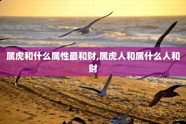 属虎和什么属性最和财,属虎人和属什么人和财