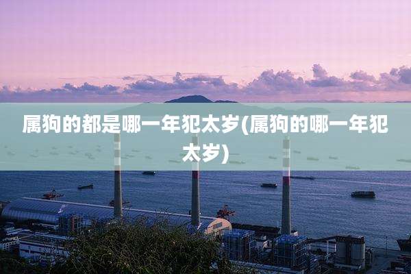 属狗的都是哪一年犯太岁(属狗的哪一年犯太岁)