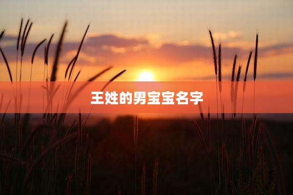 王姓的男宝宝名字