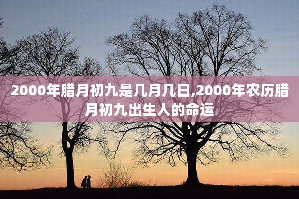 2000年腊月初九是几月几日,2000年农历腊月初九出生人的命运