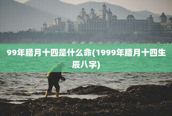 99年腊月十四是什么命(1999年腊月十四生辰八字)