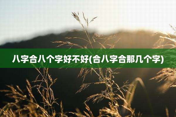 八字合八个字好不好(合八字合那几个字)