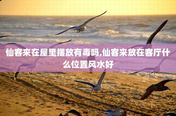 仙客来在屋里摆放有毒吗,仙客来放在客厅什么位置风水好