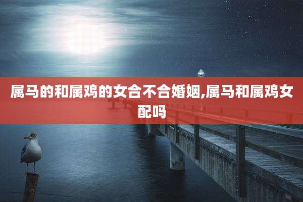 属马的和属鸡的女合不合婚姻,属马和属鸡女配吗