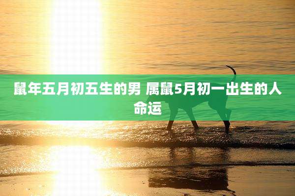 鼠年五月初五生的男 属鼠5月初一出生的人命运