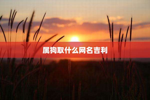 属狗取什么网名吉利