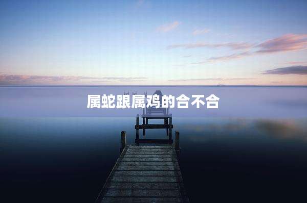 属蛇跟属鸡的合不合