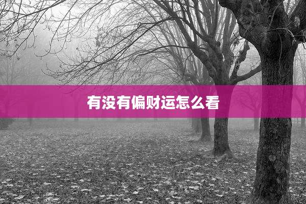 有没有偏财运怎么看