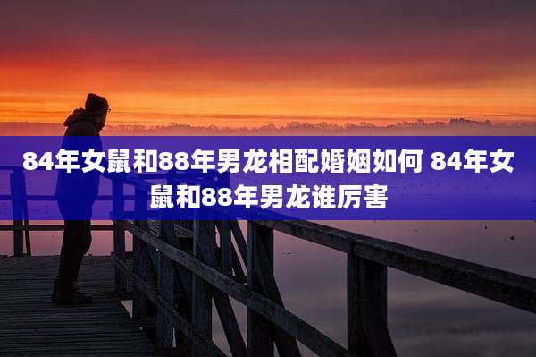 84年女鼠和88年男龙相配婚姻如何 84年女鼠和88年男龙谁厉害