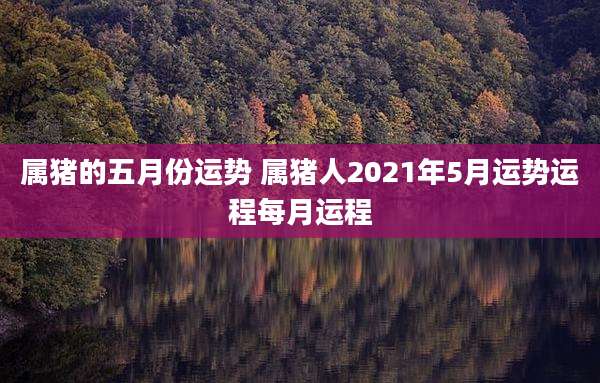属猪的五月份运势 属猪人2021年5月运势运程每月运程