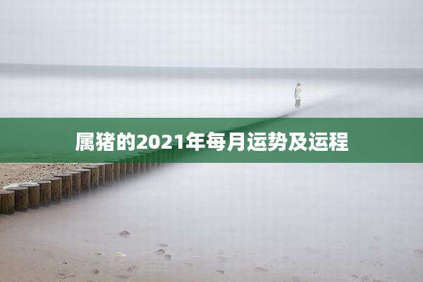属猪的2021年每月运势及运程