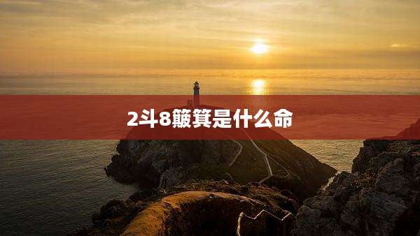 2斗8簸箕是什么命