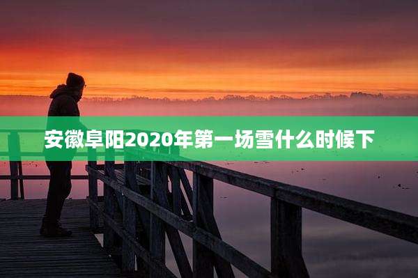 安徽阜阳2020年第一场雪什么时候下