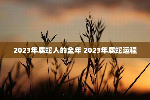 2023年属蛇人的全年 2023年属蛇运程