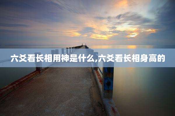 六爻看长相用神是什么,六爻看长相身高的