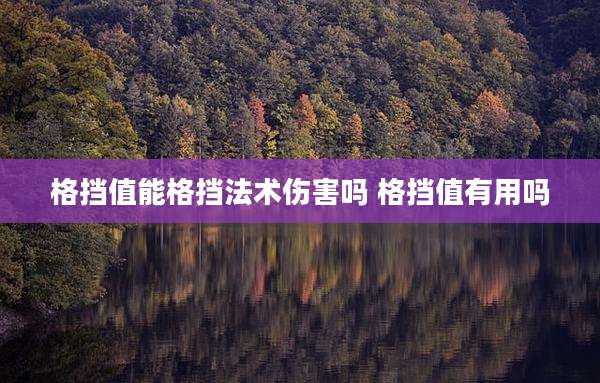 格挡值能格挡法术伤害吗 格挡值有用吗