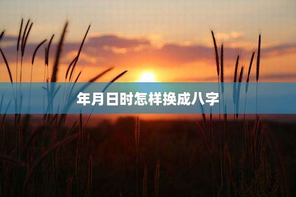 年月日时怎样换成八字