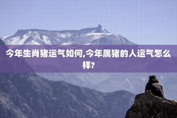 今年生肖猪运气如何,今年属猪的人运气怎么样?