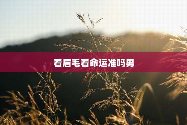 看眉毛看命运准吗男