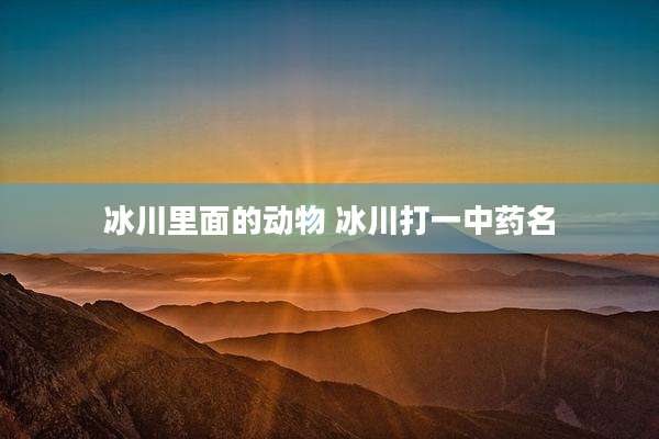 冰川里面的动物 冰川打一中药名