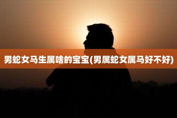 男蛇女马生属啥的宝宝(男属蛇女属马好不好)