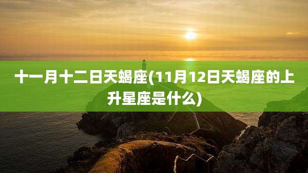 十一月十二日天蝎座(11月12日天蝎座的上升星座是什么)