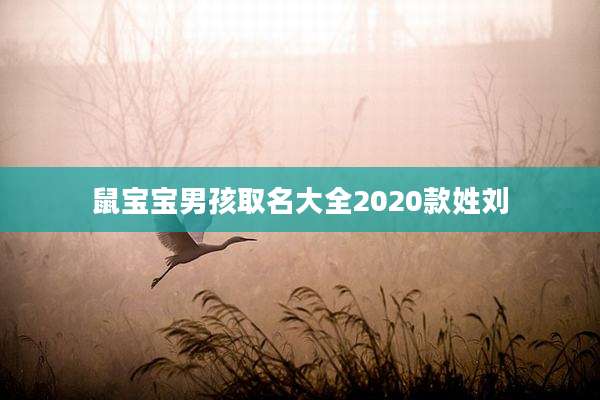 鼠宝宝男孩取名大全2020款姓刘