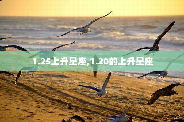 1.25上升星座,1.20的上升星座