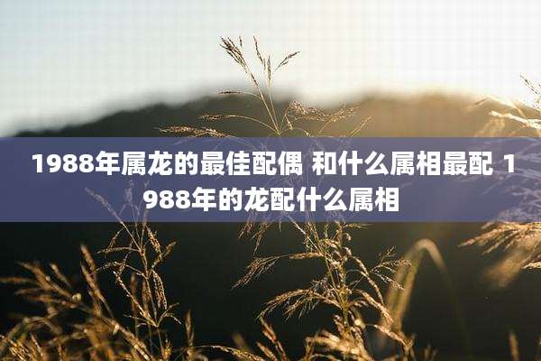 1988年属龙的最佳配偶 和什么属相最配 1988年的龙配什么属相