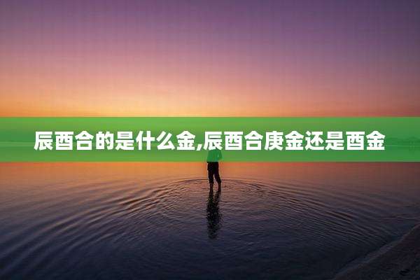 辰酉合的是什么金,辰酉合庚金还是酉金