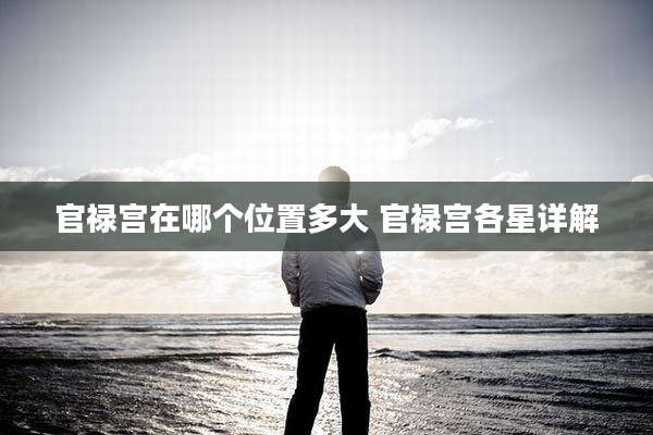 官禄宫在哪个位置多大 官禄宫各星详解