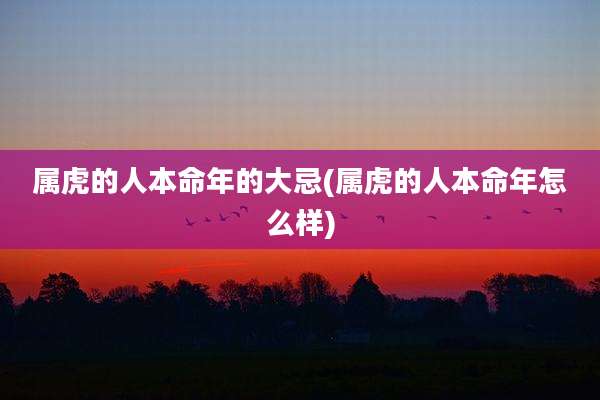属虎的人本命年的大忌(属虎的人本命年怎么样)