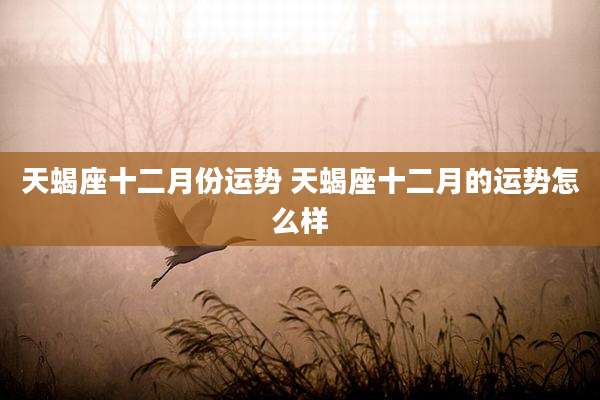 天蝎座十二月份运势 天蝎座十二月的运势怎么样