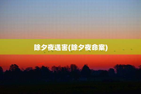 除夕夜遇害(除夕夜命案)