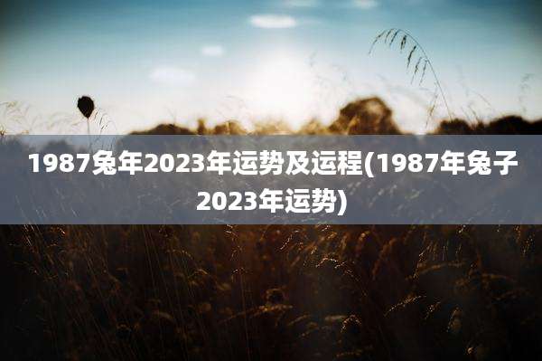 1987兔年2023年运势及运程(1987年兔子2023年运势)