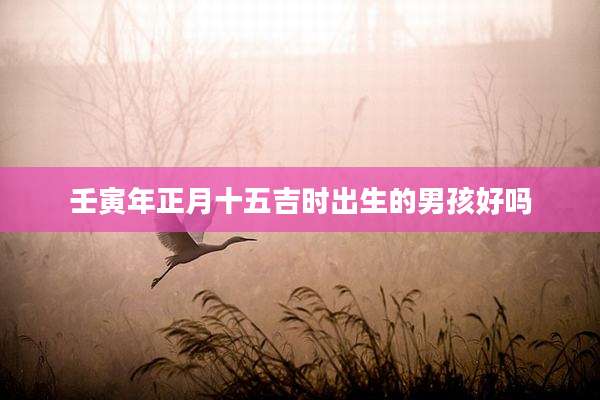 壬寅年正月十五吉时出生的男孩好吗