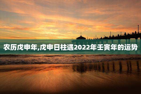 农历戊申年,戊申日柱遇2022年壬寅年的运势