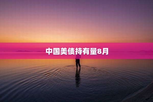 中国美债持有量8月