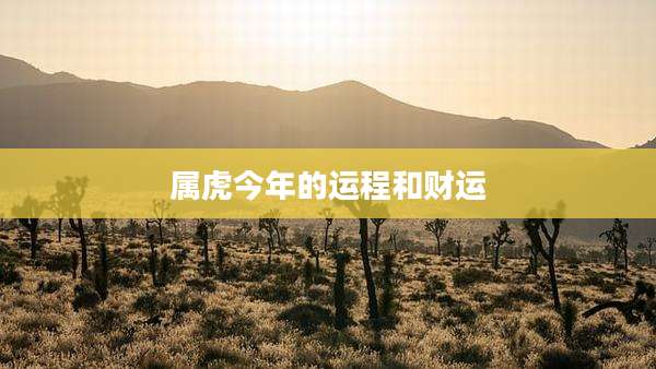 属虎今年的运程和财运