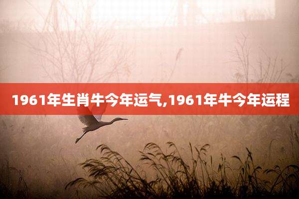 1961年生肖牛今年运气,1961年牛今年运程