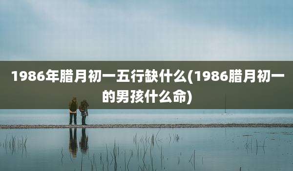 1986年腊月初一五行缺什么(1986腊月初一的男孩什么命)
